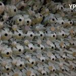 SDF Seizes Thousands Of Mortars, Arrests Terrorists In Second Day Of Deir Ezzor Operation (Photos, Video) SDF Seizes Thousands Of Mortars, Arrests Terrorists In Second Day Of Deir Ezzor Operation (Photos, Video)