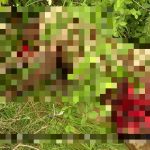 Horrifying Photos Document Recent ISIS Ambush In Northeastern Nigeria