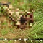 Horrifying Photos Document Recent ISIS Ambush In Northeastern Nigeria