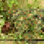 Horrifying Photos Document Recent ISIS Ambush In Northeastern Nigeria