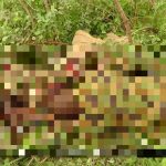 Horrifying Photos Document Recent ISIS Ambush In Northeastern Nigeria