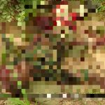 Horrifying Photos Document Recent ISIS Ambush In Northeastern Nigeria