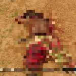 Horrifying Photos Document Recent ISIS Ambush In Northeastern Nigeria