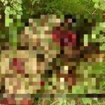 Horrifying Photos Document Recent ISIS Ambush In Northeastern Nigeria