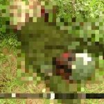 Horrifying Photos Document Recent ISIS Ambush In Northeastern Nigeria