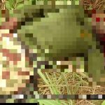 Horrifying Photos Document Recent ISIS Ambush In Northeastern Nigeria