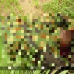 Horrifying Photos Document Recent ISIS Ambush In Northeastern Nigeria