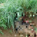 ISIS Killed Dozens Of Al-Qaeda Fighters In Mali (Photos, Video 18+) ISIS Killed Dozens Of Al-Qaeda Fighters In Mali (Photos, Video 18+)