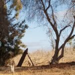 ISIS Released Photos Of Recent Operations Against Egyptian Government Forces In Sinai ISIS Released Photos Of Recent Operations Against Egyptian Government Forces In Sinai