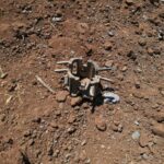 Turkish Combat Drone Targets Two Vehicles In Northeastern Syria (Photos) Turkish Combat Drone Targets Two Vehicles In Northeastern Syria (Photos)