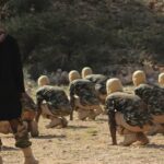 ISIS Releases Photos From Large Training Camp In Somalia