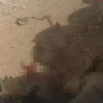 HTS Terrorists Raid Syrian Army Positions In Western Aleppo, Kill Six Soldiers (Photos)