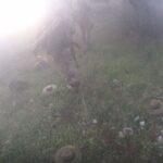 HTS Militants Raid Two Syrian Army Positions In Southern Idlib, Kill Or Wound 15 Soldiers (Photos) HTS Militants Raid Two Syrian Army Positions In Southern Idlib, Kill Or Wound 15 Soldiers (Photos)