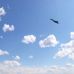 Russian Aerospace Forces Receives New Batch Of Su-34 Fighter Bombers (Photos) Russian Aerospace Forces Receives New Batch Of Su-34 Fighter Bombers (Photos)