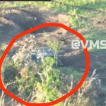 Heavy Fighting Continues In Zaporozhye, Donetsk (Photos, Videos) Heavy Fighting Continues In Zaporozhye, Donetsk (Photos, Videos)