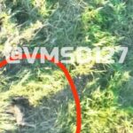 Heavy Fighting Continues In Zaporozhye, Donetsk (Photos, Videos) Heavy Fighting Continues In Zaporozhye, Donetsk (Photos, Videos)