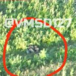 Heavy Fighting Continues In Zaporozhye, Donetsk (Photos, Videos) Heavy Fighting Continues In Zaporozhye, Donetsk (Photos, Videos)