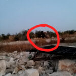 Syrian Army Destroys Remotely-Controlled Rocket Launcher, Downs Drones On Idlib Front (Photos)