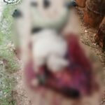 Syrian Army Repels Attack In Aleppo Hours After Deadly Israeli Strikes (18+ Photos) Syrian Army Repels Attack In Aleppo Hours After Deadly Israeli Strikes (18+ Photos)